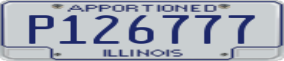 Truck License Plate