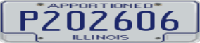Truck License Plate