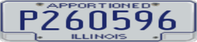 Truck License Plate