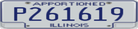 Truck License Plate