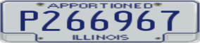 Truck License Plate