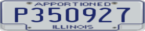 Truck License Plate
