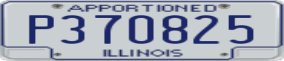 Truck License Plate