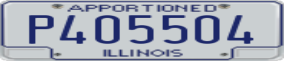 Truck License Plate