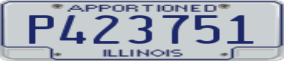 Truck License Plate