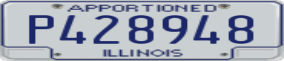 Truck License Plate