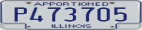 Truck License Plate