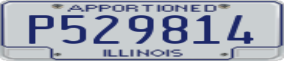 Truck License Plate