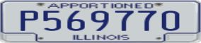 Truck License Plate
