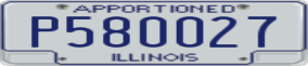 Truck License Plate