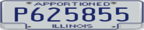 Truck License Plate
