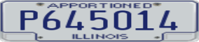 Truck License Plate