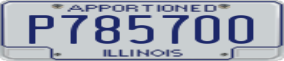 Truck License Plate