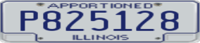 Truck License Plate