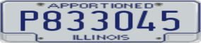 Truck License Plate