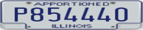 Truck License Plate