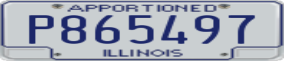 Truck License Plate