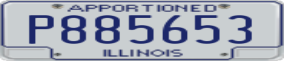 Truck License Plate
