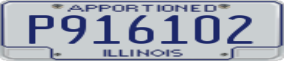 Truck License Plate