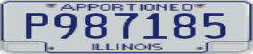 Truck License Plate