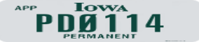 Truck License Plate