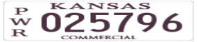 Truck License Plate