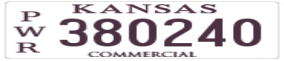 Truck License Plate