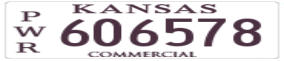 Truck License Plate