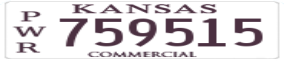 Truck License Plate