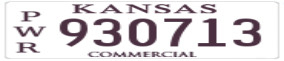 Truck License Plate