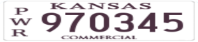 Truck License Plate
