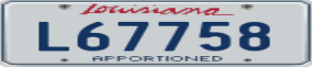 Trailer License Plate