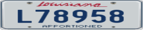 Trailer License Plate