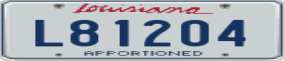 Trailer License Plate