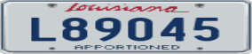 Trailer License Plate