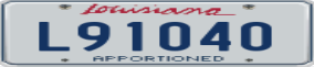 Trailer License Plate
