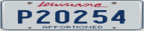 Truck License Plate