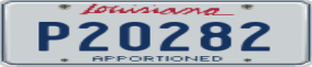 Truck License Plate