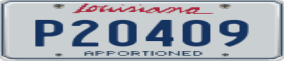 Truck License Plate