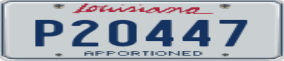 Truck License Plate