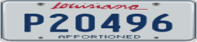 Truck License Plate