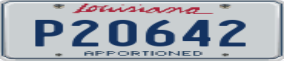 Truck License Plate