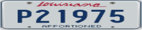Truck License Plate