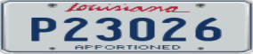 Truck License Plate