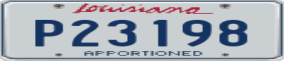Truck License Plate