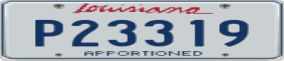Truck License Plate