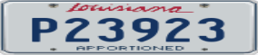 Truck License Plate