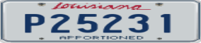 Truck License Plate