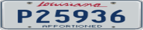 Truck License Plate