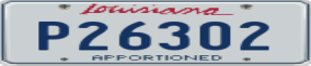 Truck License Plate